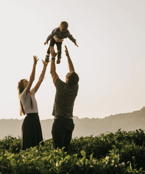 Online Mentoring Programs